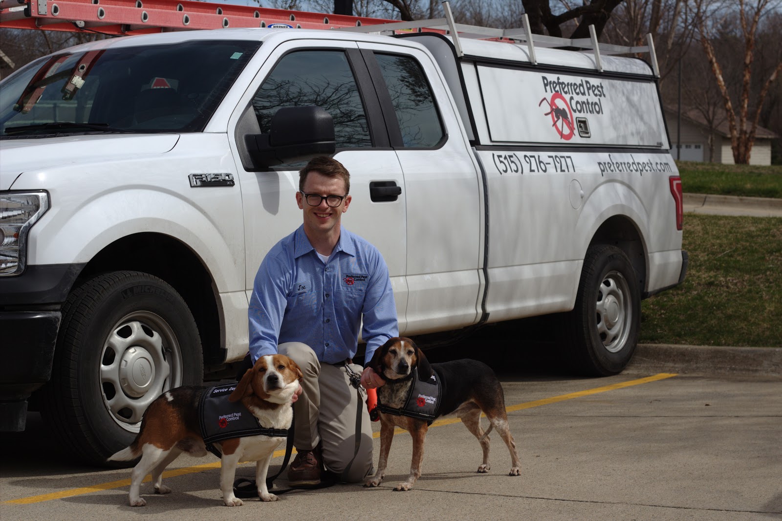 Scout and Radar Bed Bud Detection Dogs Preferred Pest Bed Bug Detection Dogs